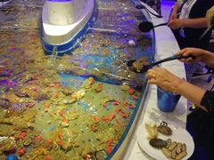 -澜悦港海鲜体验主题餐厅