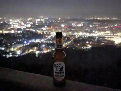 -紫金山山顶公园