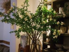 -Ginko银子(青龙街店)