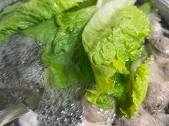 -五洲牛肉美食馆