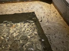 -明谷行馆·温泉