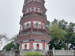 -中山公园(石岐街道)
