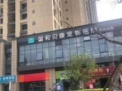 -谐和贝康宠物医院24小时·宠保定点(急重症转诊中心)