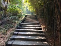 -白沙古井
