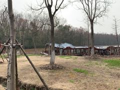 -上海海湾国家森林公园