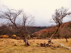 -硗碛藏寨·神木垒景区