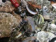 -威海海鲜王(窑头路店)