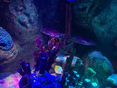 -沈阳海洋探索中心