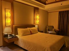 -惠州康帝国际酒店