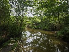 -桤木河湿地公园