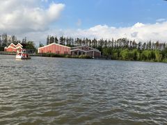 -上海长兴岛郊野公园