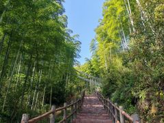 -山沟沟景区