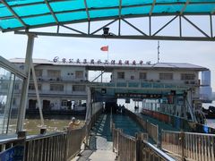 -武汉关码头(轮渡站)