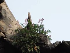-兴教寺