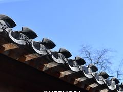 -曲廊院(东四十一条店)