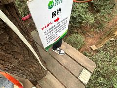 -芦仙山景区-飞越丛林探险乐园
