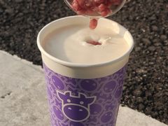 -一只酸奶牛(八一路店)