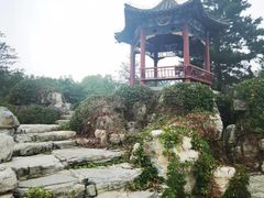 -大兴滨河森林公园