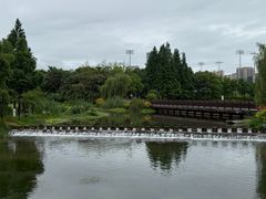 -洋湖国家湿地公园