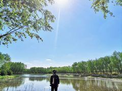 -东郊湿地公园