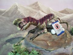 -安徽省地质博物馆