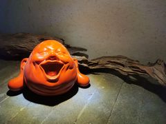 -厦门园林植物园-植物园滴水山房