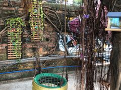 -柴犬高等学院·狗咖·柴犬售卖·宠物训练