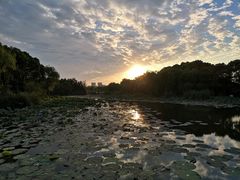 -新江湾城公园