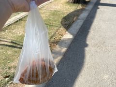 -前小桔亲子创意农场·草莓采摘·露营烧烤