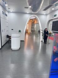 -T8 SALON