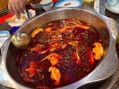 -金鼎雪山牦牛杂火锅(理县总店)