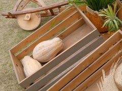 -中国天府农业博览园