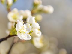 -长春公园(普阳街道)