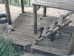 -大连森林动物园