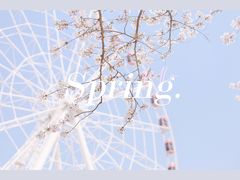 -顾村公园
