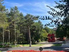 -黑龙江省森林植物园