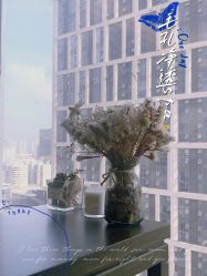 -宛若新生