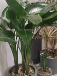 -RnD瑷缇专业美甲美睫