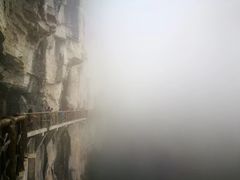 -蝶舞清江·恩施云顶景区(黄鹤峰林)