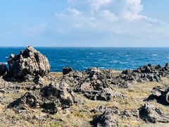 -龙坑生态保护区