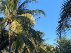 -深圳湾公园(南山区)