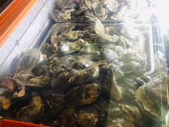 -土蚝·高压锅生蚝(百姓美食街店)