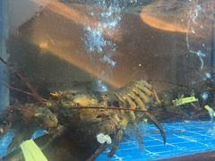 -香宫中餐厅 · 桂林香格里拉