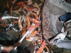 -泉城欧乐堡海洋极地世界