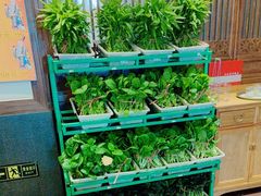 -天和晟烤鸭店(玉泉西街店)