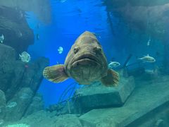 -福州罗源湾海洋世界旅游区