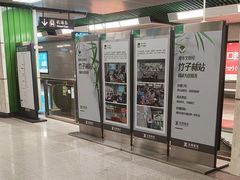 -竹子林(地铁站)