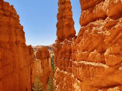 -上海旅游集散中心(万体站)