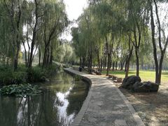 -洛阳市隋唐城遗址植物园