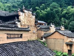 -杨家堂村